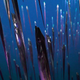 A vertical school of cutlassfish